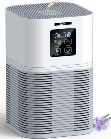 2 in 1 Air Purifier with H13 Filters for Home Allergies Pets Hair Odor Eliminators, Aromatherapy diffuser and Auto Mode, Quiet Air Cleaner for Of